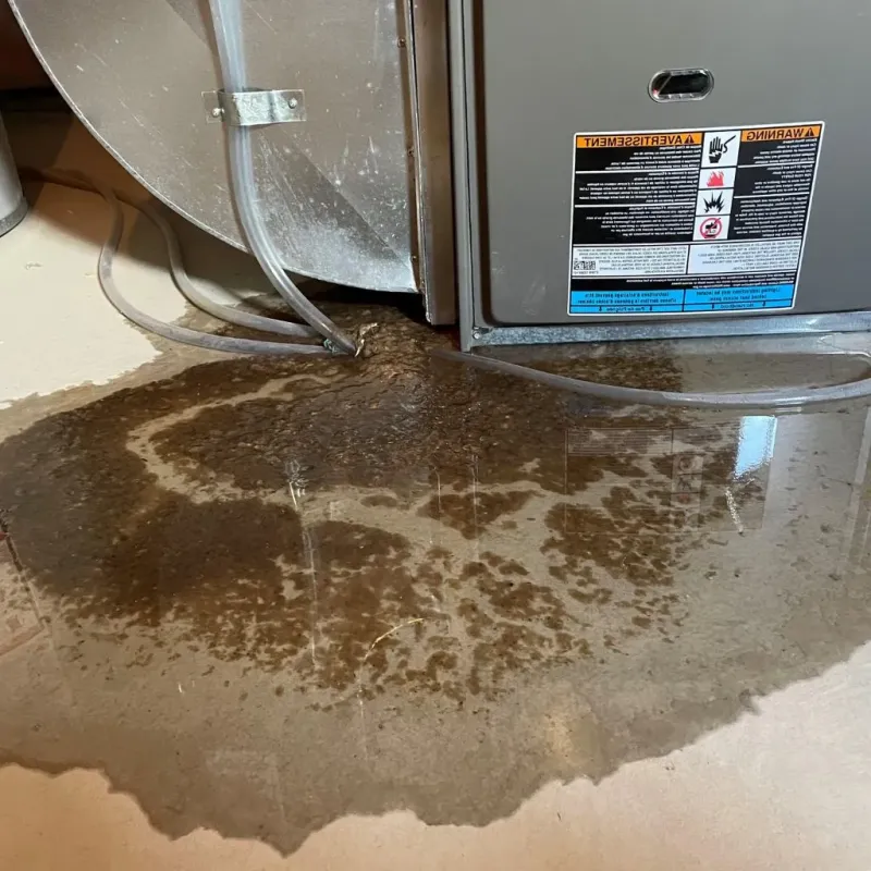 Pipe Burst and Leak Restoration in Chaves County, NM