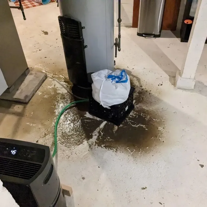 Sewage Backup Cleanup Service in Chaves County, NM